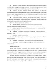 Žinių visuomenės plėtros Lietuvoje veiksniai 17 puslapis