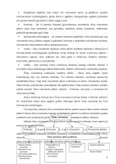Žinių visuomenės plėtros Lietuvoje veiksniai 6 puslapis