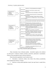 Žinių visuomenės plėtros Lietuvoje veiksniai 9 puslapis