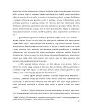 Žmogaus teisės ir laisvės darbo teisiniuose santykiuose 11 puslapis