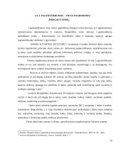 Žmogaus teisės ir laisvės darbo teisiniuose santykiuose 9 puslapis