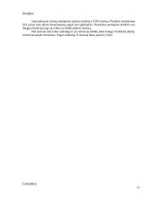 Dvikanalė duomenų surinkimo sistema 13 puslapis