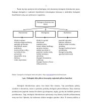 Ekologinės žemdirbystės problemos ir perspektyvos 5 puslapis