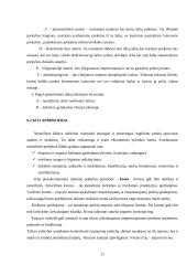 Ekonominio saugumo įtaka tarptautinės prekybos vystymuisi 11 puslapis