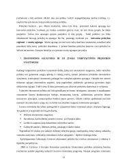 Ekonominio saugumo įtaka tarptautinės prekybos vystymuisi 13 puslapis
