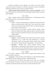 Eksporto ir importo problema mažose ir didelėse įmonėse 11 puslapis