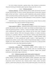 Eksporto ir importo problema mažose ir didelėse įmonėse 13 puslapis