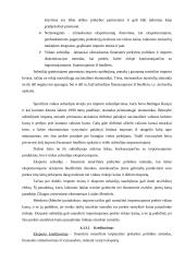 Eksporto ir importo problema mažose ir didelėse įmonėse 15 puslapis