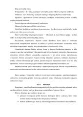 Eksporto ir importo problema mažose ir didelėse įmonėse 16 puslapis