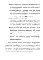 Eksporto ir importo problema mažose ir didelėse įmonėse 6 puslapis