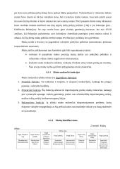 Eksporto ir importo problema mažose ir didelėse įmonėse 8 puslapis