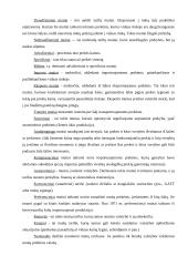 Eksporto ir importo problema mažose ir didelėse įmonėse 9 puslapis