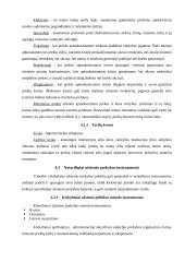 Eksporto ir importo problema mažose ir didelėse įmonėse 10 puslapis