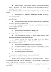 Eksporto kreditų draudimas Lietuvoje 17 puslapis