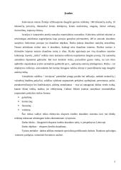 Eksporto kreditų draudimas Lietuvoje 3 puslapis