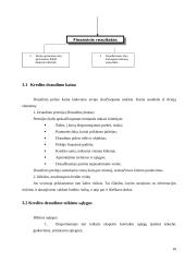 Eksporto kreditų draudimas Lietuvoje 10 puslapis