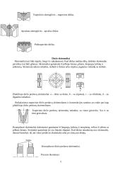 Diržo pavaros skaičiavimai 5 puslapis