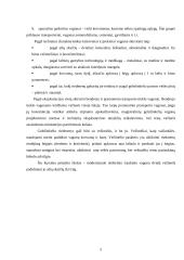 Elektrinio traukinio vežimėlio modernizavimas 5 puslapis