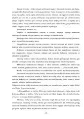 Elektroninė bankininkystė Lietuvoje 18 puslapis