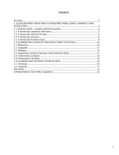 Elektroninės komercijos tendencijos 2 puslapis