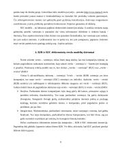 Elektroninio verslo modeliai Lietuvoje 11 puslapis