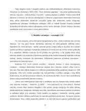 Elektroninio verslo modeliai Lietuvoje 12 puslapis