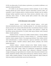 Elektroninio verslo modeliai Lietuvoje 13 puslapis