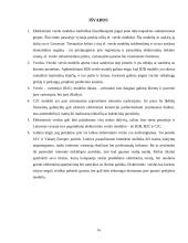 Elektroninio verslo modeliai Lietuvoje 14 puslapis