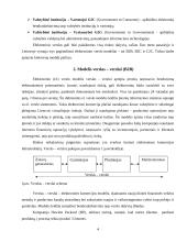 Elektroninio verslo modeliai Lietuvoje 4 puslapis