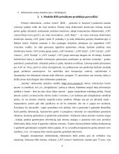 Elektroninio verslo modeliai Lietuvoje 6 puslapis