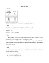 Investicijų ir investicijų rizikos vertinimas 2 puslapis