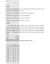 Investicijų ir investicijų rizikos vertinimas 8 puslapis