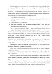 Elektros įrenginių montavimo paslaugų teikimo įmonės projektavimas (gamybiniai pastatai) 11 puslapis