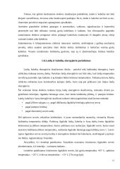 Elektros įrenginių montavimo paslaugų teikimo įmonės projektavimas (gamybiniai pastatai) 12 puslapis