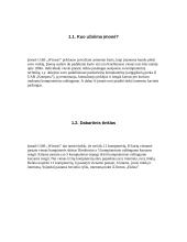 Kompiuterinių tinklų projektavimas ir diegimas 3 puslapis