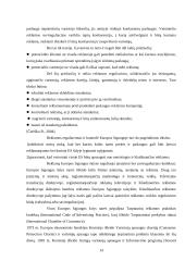 Etika reklamoje Lietuvos mobiliojo ryšio operatorių pavyzdžiu 13 puslapis