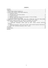 Etika reklamoje Lietuvos mobiliojo ryšio operatorių pavyzdžiu 3 puslapis