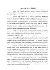 Etika reklamoje Lietuvos mobiliojo ryšio operatorių pavyzdžiu 5 puslapis