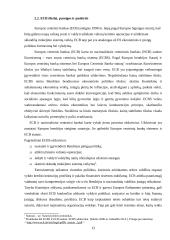 Europos centrinis bankas (ECB) ir jo veikla 13 puslapis