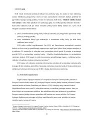 Europos centrinis bankas (ECB) ir jo veikla 15 puslapis