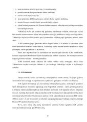 Europos centrinis bankas (ECB) ir jo veikla 17 puslapis