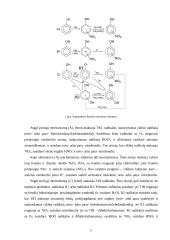 Fenolių fotonitrinimas 6 puslapis