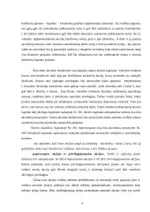 Kapitalo sąvoka ir finansinė apskaita 4 puslapis