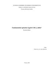 Fundamentinė apskaitos lygybė: kompiuterinių programų kūrimas UAB "Labbis"