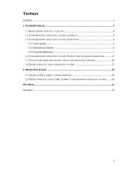 Fundamentinė apskaitos lygybė: kompiuterinių programų kūrimas UAB "Labbis" 2 puslapis