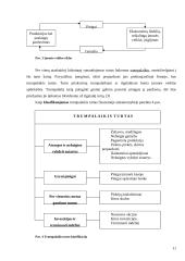 Fundamentinė apskaitos lygybė: kompiuterinių programų kūrimas UAB "Labbis" 11 puslapis