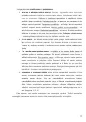 Fundamentinė apskaitos lygybė: kompiuterinių programų kūrimas UAB "Labbis" 12 puslapis