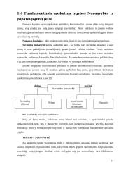 Fundamentinė apskaitos lygybė: kompiuterinių programų kūrimas UAB "Labbis" 13 puslapis