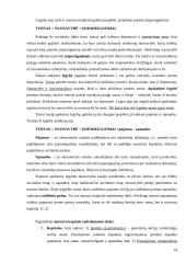 Fundamentinė apskaitos lygybė: kompiuterinių programų kūrimas UAB "Labbis" 14 puslapis