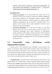 Fundamentinė apskaitos lygybė: kompiuterinių programų kūrimas UAB "Labbis" 16 puslapis